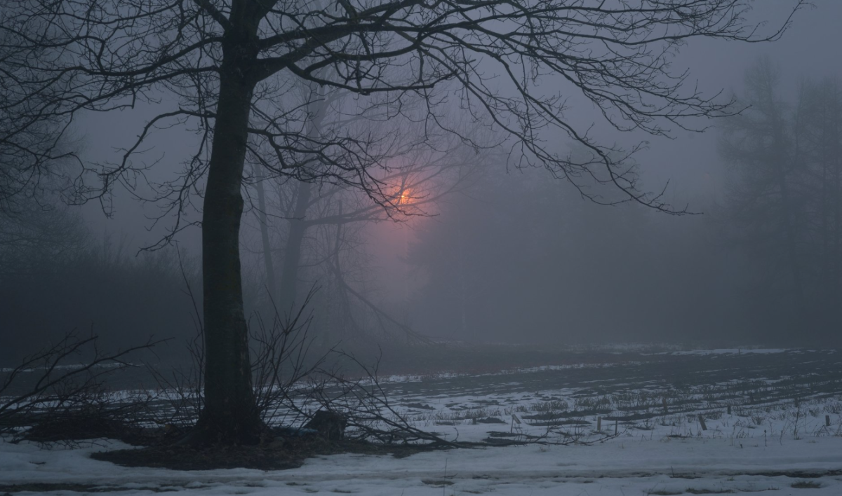 Туман, метель и гололед ожидаются в большинстве регионов Казахстана