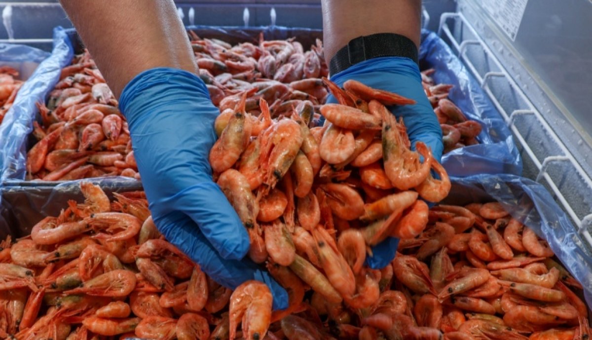 Вслед за бананами Казахстан наладил экспорт ещё одного "экзотического" продукта