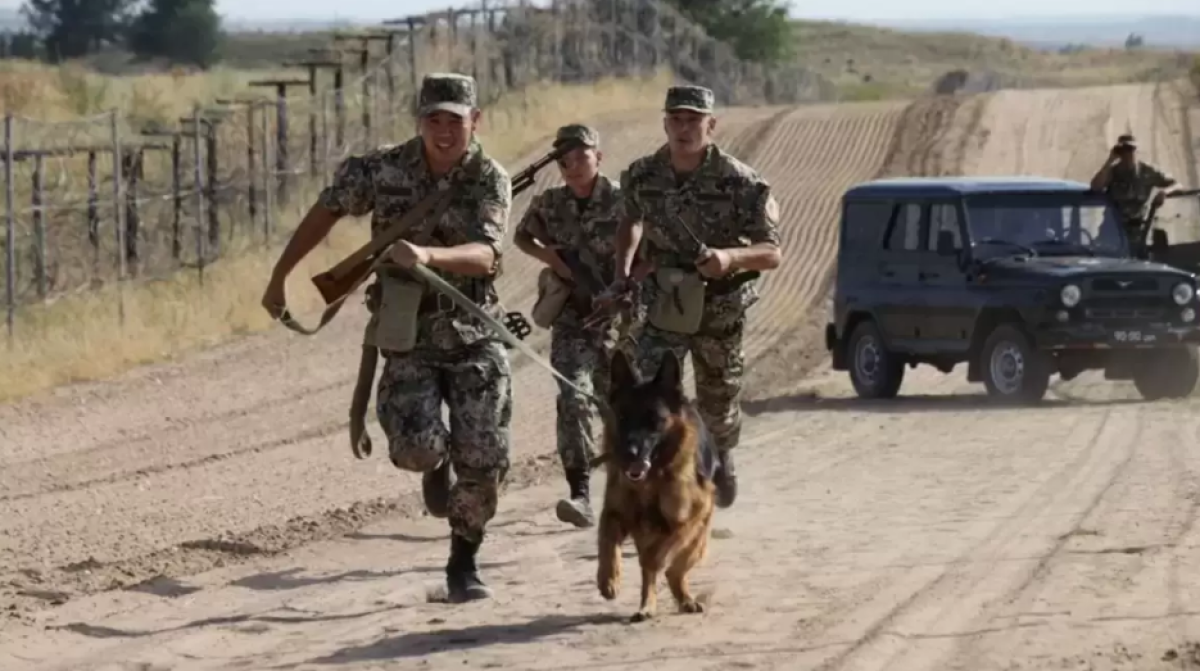 Оружие, наркотики, топливо: что пытались провезти через границу Казахстана в 2025 году