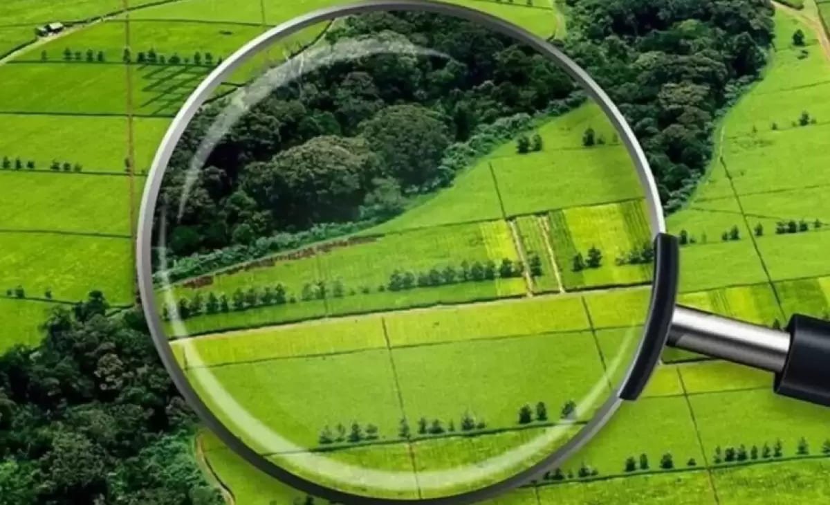 В Казахстане задумались над созданием нового Земельного кодекса