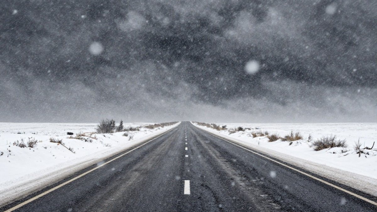 Иностранцы оказались заложниками непогоды в Казахстане