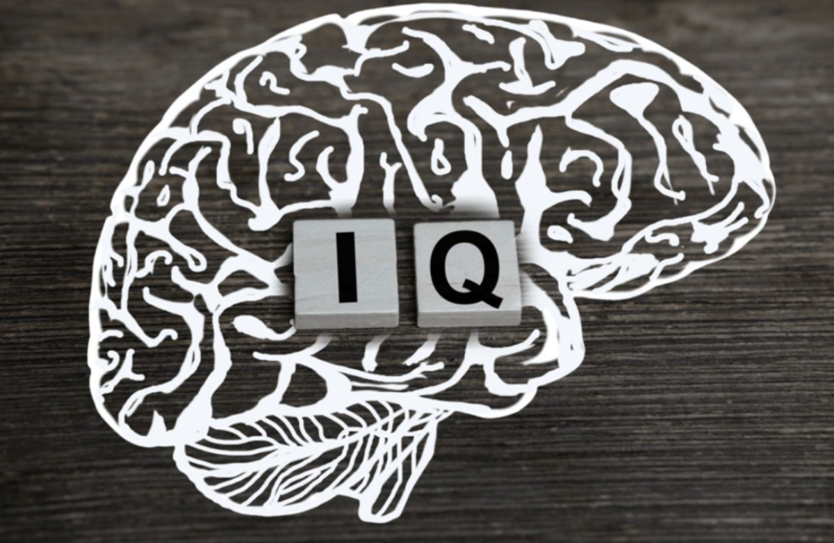 Средний IQ в Казахстане снизился: страна опустилась в рейтинге