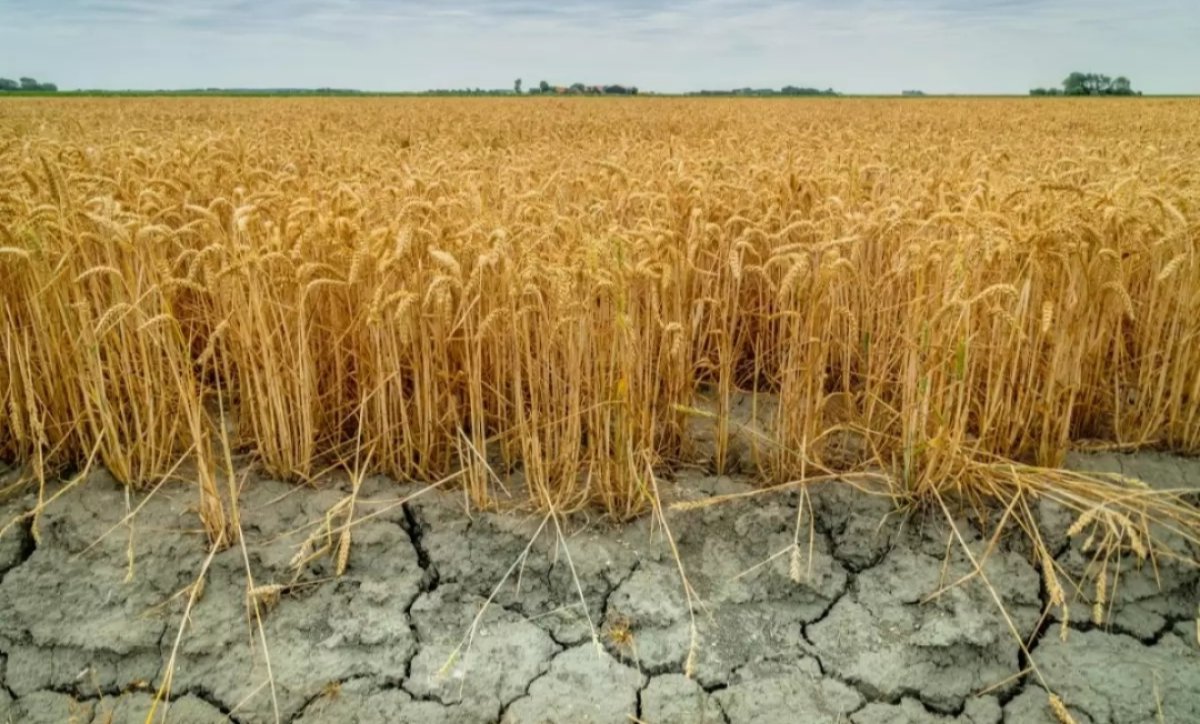 Дефицит воды ожидается в ближайшие месяцы в Кыргызстане