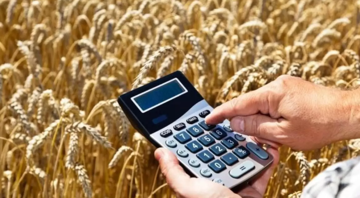 Казахстан нарастил экспорт зерна нового урожая: кто покупает больше всех