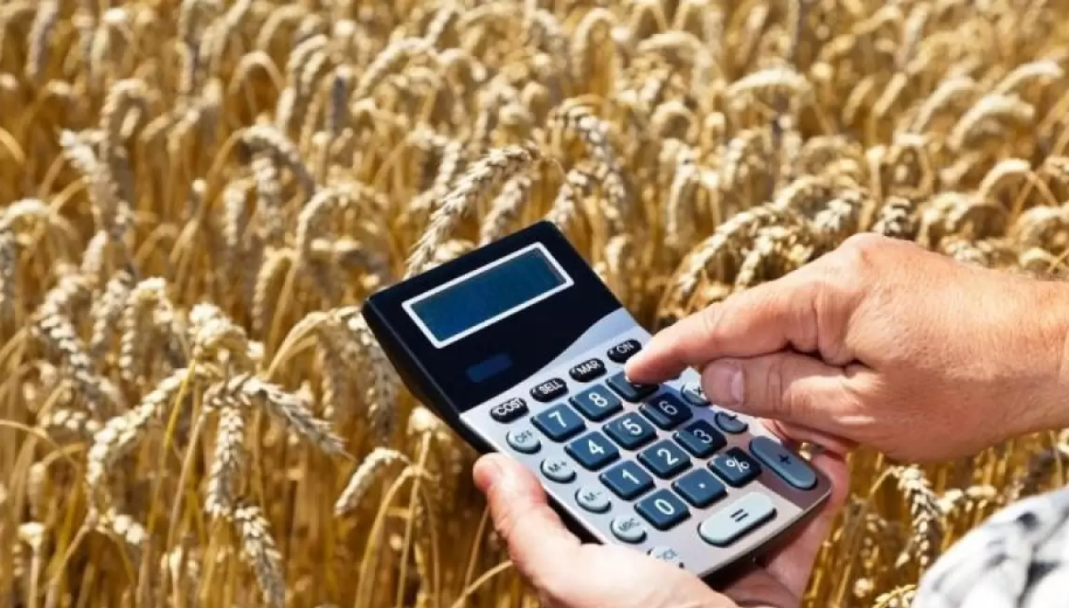 Япония и Саудовская Аравия: Казахстан наращивает экспорт продукции переработки пшеницы