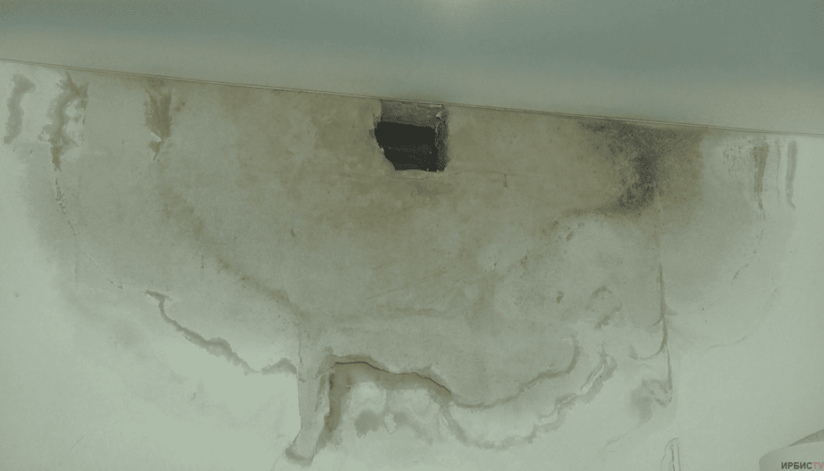 "Жить невозможно": люди бегут из нового социального жилья в Павлодарской области