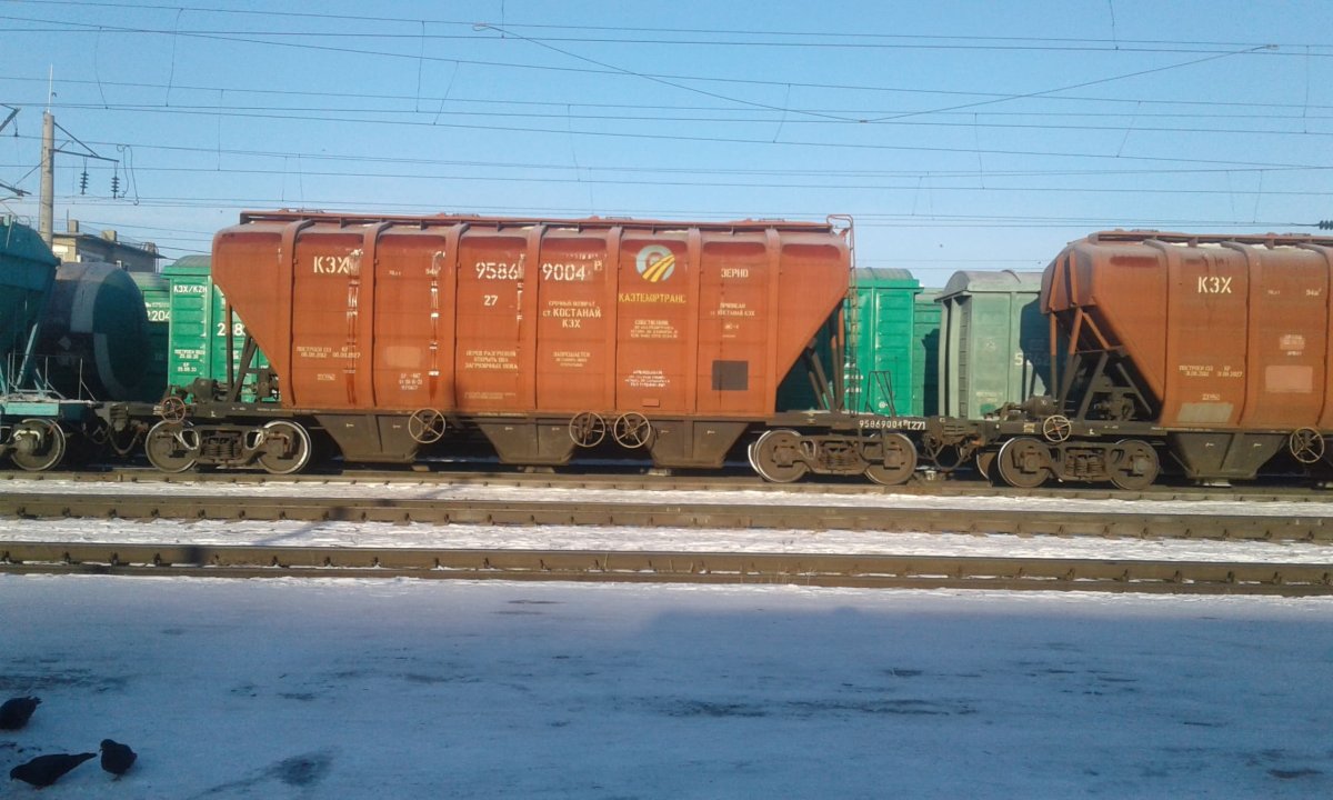 Китай перестал кошмарить казахстанских фермеров