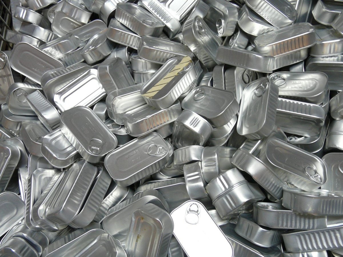 Как в Уральске делают консервы из сайгачьего мяса