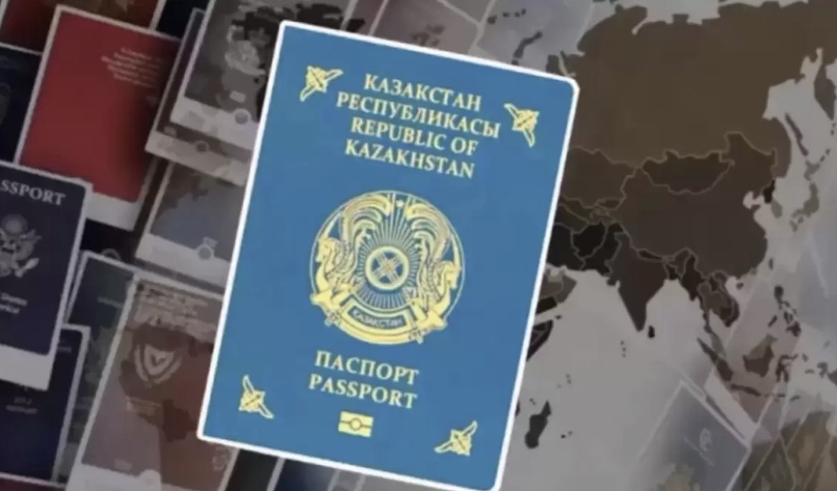 Причины утраты гражданства хотят закрепить в Конституции РК