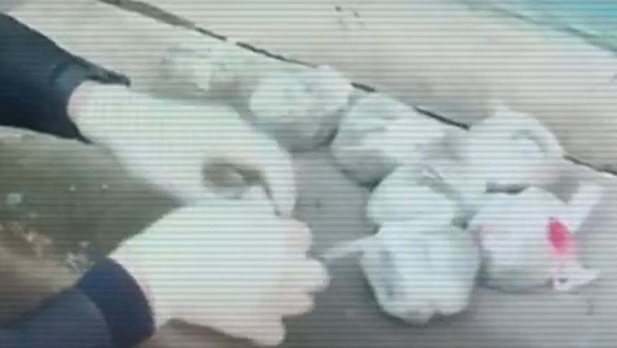 Изъяли больше 100 кг: канал сбыта наркотиков “накрыли” в Жамбылской области