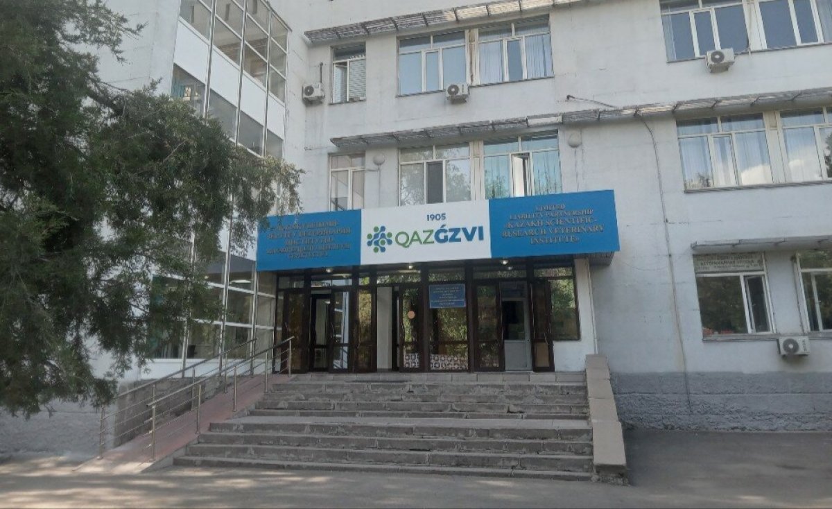 Застройки не будет: алматинцам удалось отстоять территорию научного института