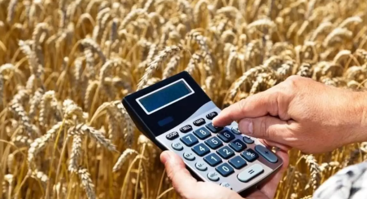 На весенне-полевые и уборочные работы выделят 700 млрд в Казахстане