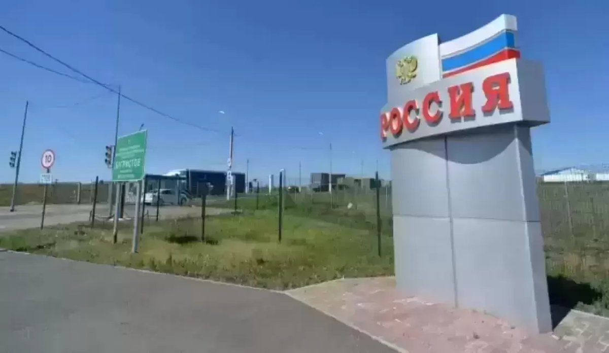 Срочно закрыть границы: профессор о критической ситуации в России