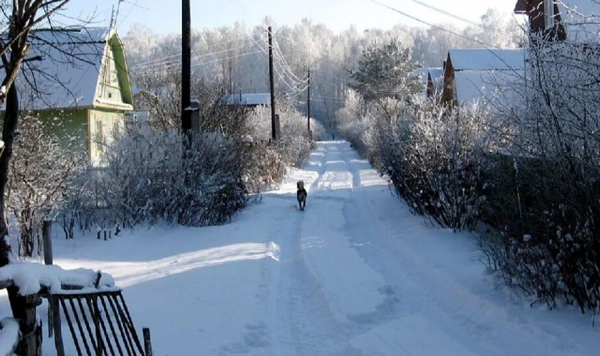 Дачники добились присвоения статуса села в Алматинской области