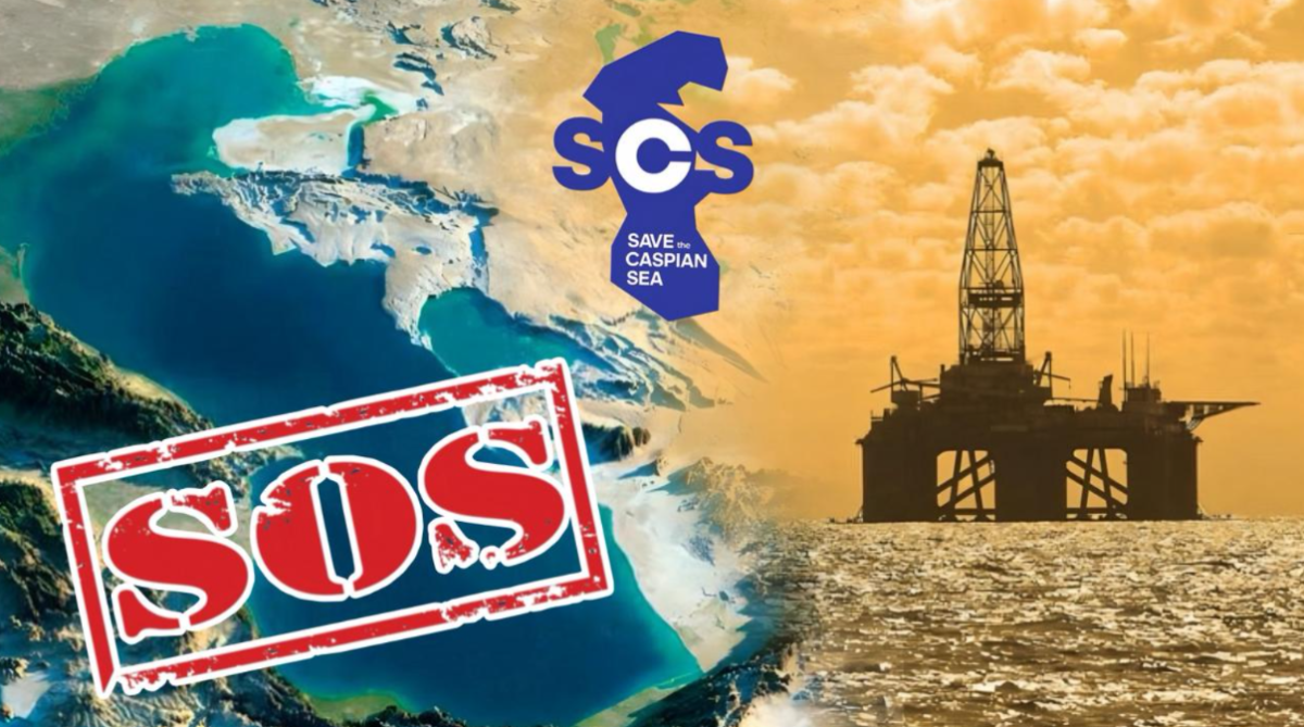 Море проблем? Какие шаги делает Save the Caspian Sea, чтобы спасти Каспий