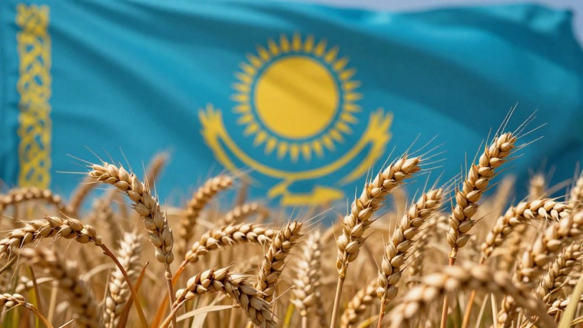 Ожидаем рекорд? Минсельхоз США оценил урожай пшеницы в Казахстане