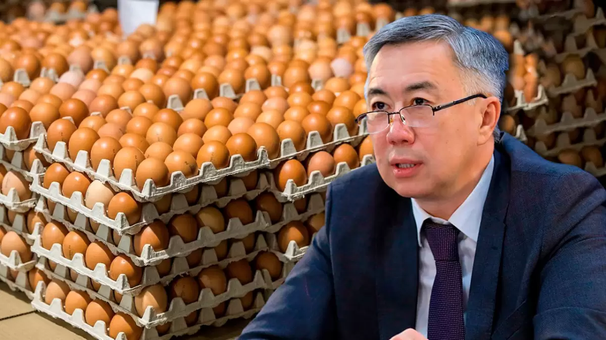 По экспорту говядины и импорту яиц принято решение в Казахстане