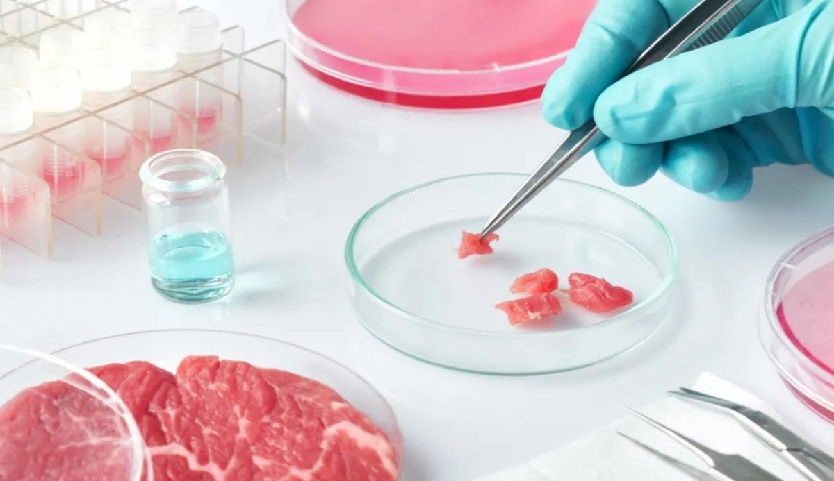 Казахстанцы не защищены от заражённого мяса? Ученый раскрыл неудобную правду