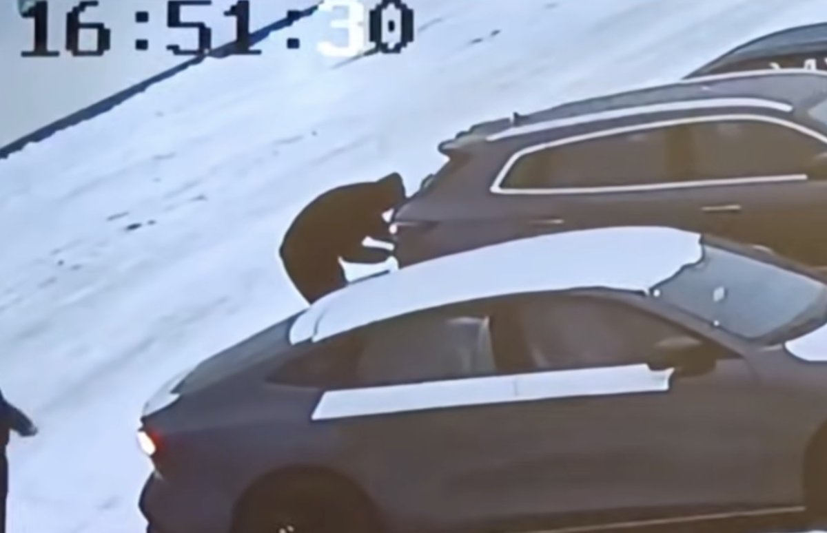 Из автосалона в Алматинской области угнали новый кроссовер