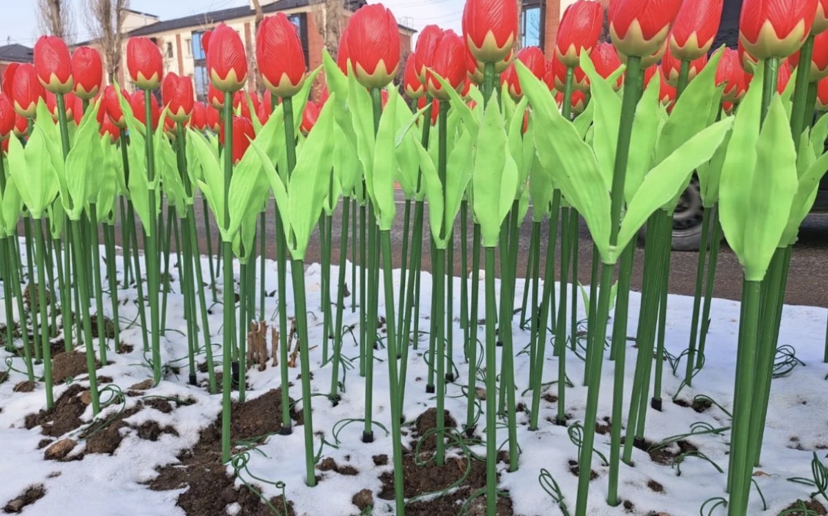 Пластиковый цветник: на улицах Тараза появились искусственные тюльпаны