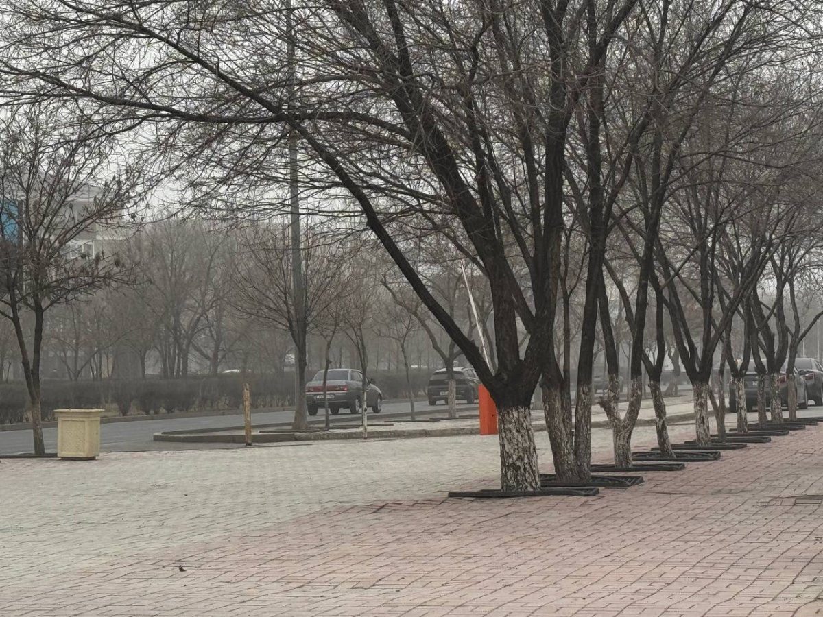 Атырау оказался под властью песчаной бури