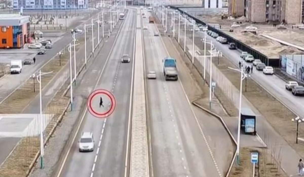 Пешеходов начали штрафовать с помощью дронов в Казахстане