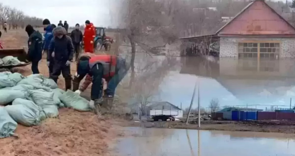 Проблем не вижу: Бозумбаев высказался о возможном хищении противопаводковых миллиардов