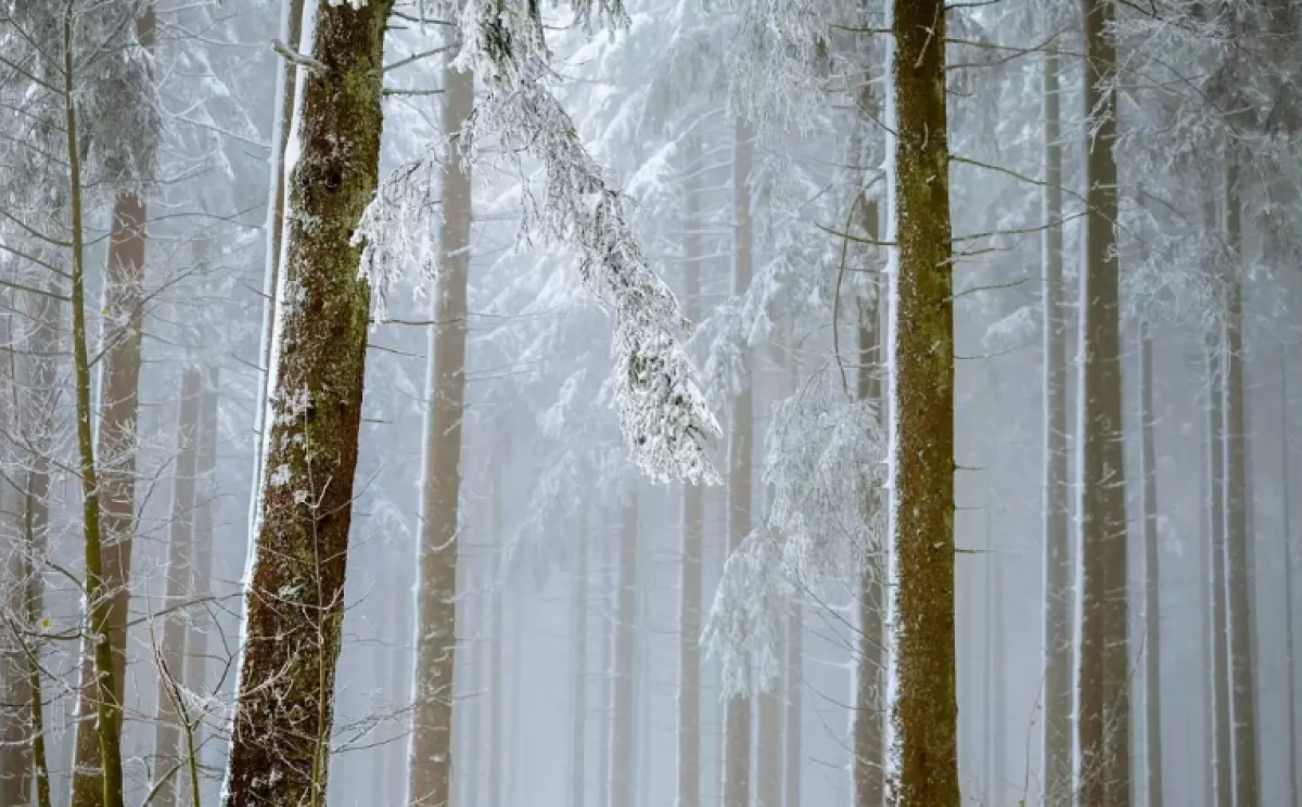 В каких регионах Казахстана объявили штормовое предупреждение