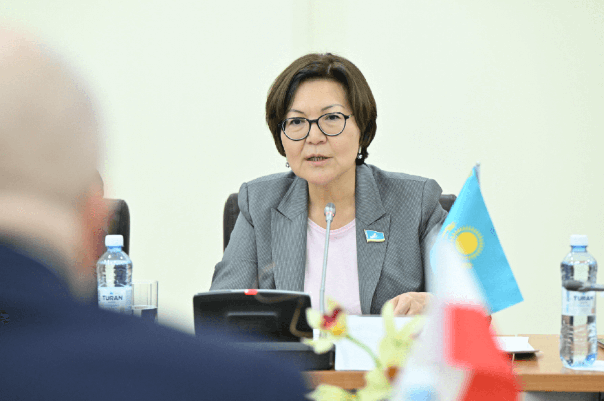 Депутат мажилиса получила должность в ОДКБ