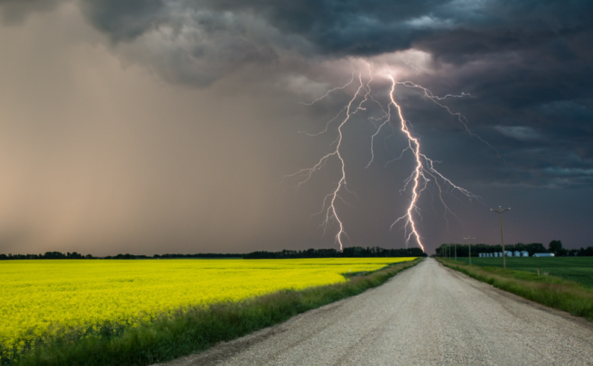 Грозы, туман и ветер: синоптики предупредили казахстанцев