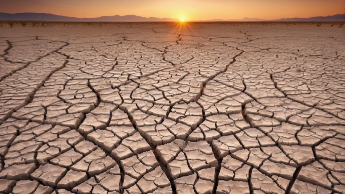 Приаралье снова под угрозой: регион оказался на пороге водного дефицита