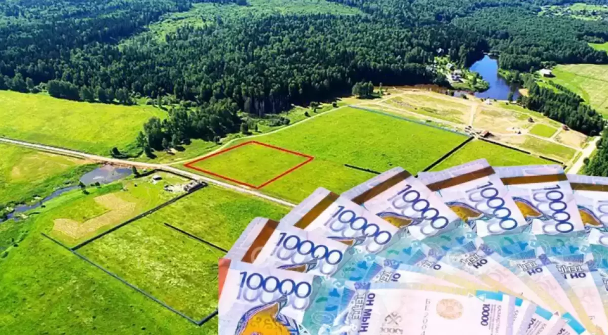 Фермеры лишились земель по вине акимата в Жамбылской области