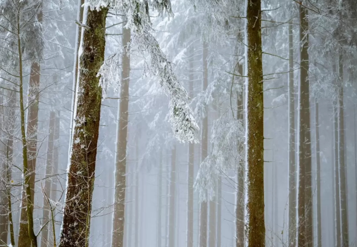 Дожди, грозы и шквалы: Казахстан накроет штормовая погода в воскресенье