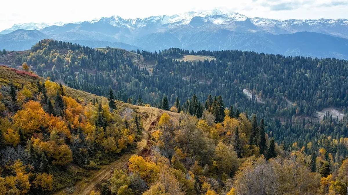 Земли у Медеу за 17 млрд вернули государству