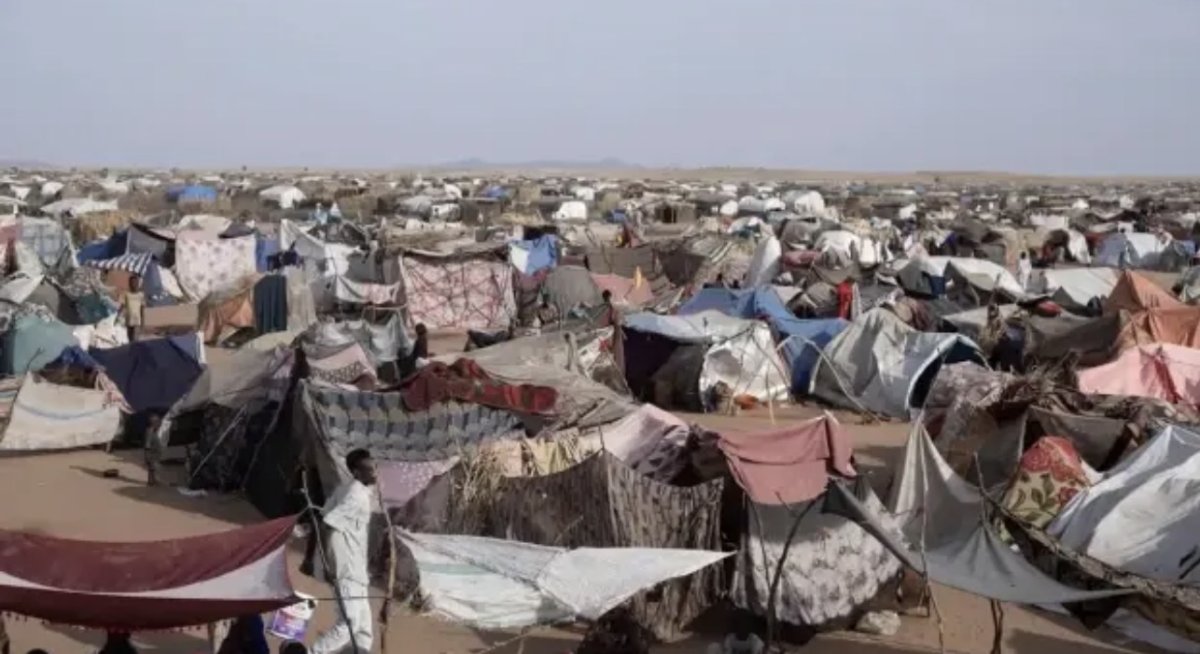 Люди едят листья и корм для животных: Судан на грани голода