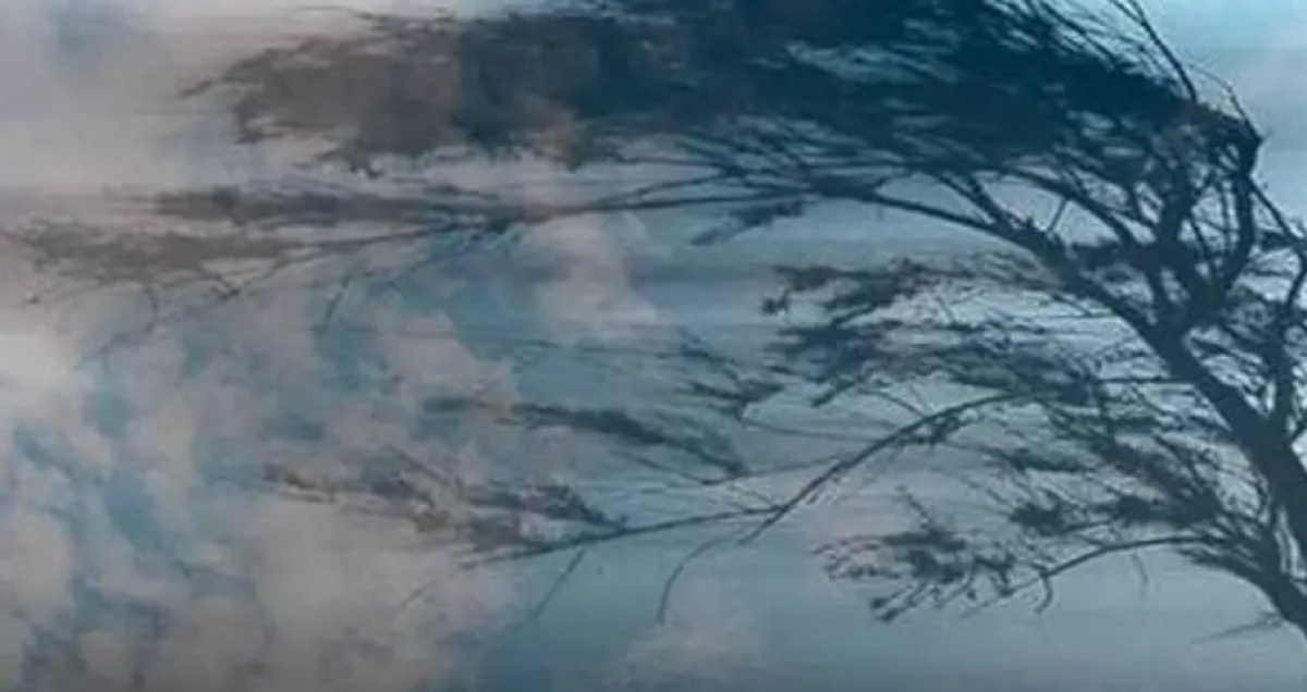 Сильный ветер и осадки накроют регионы Казахстана