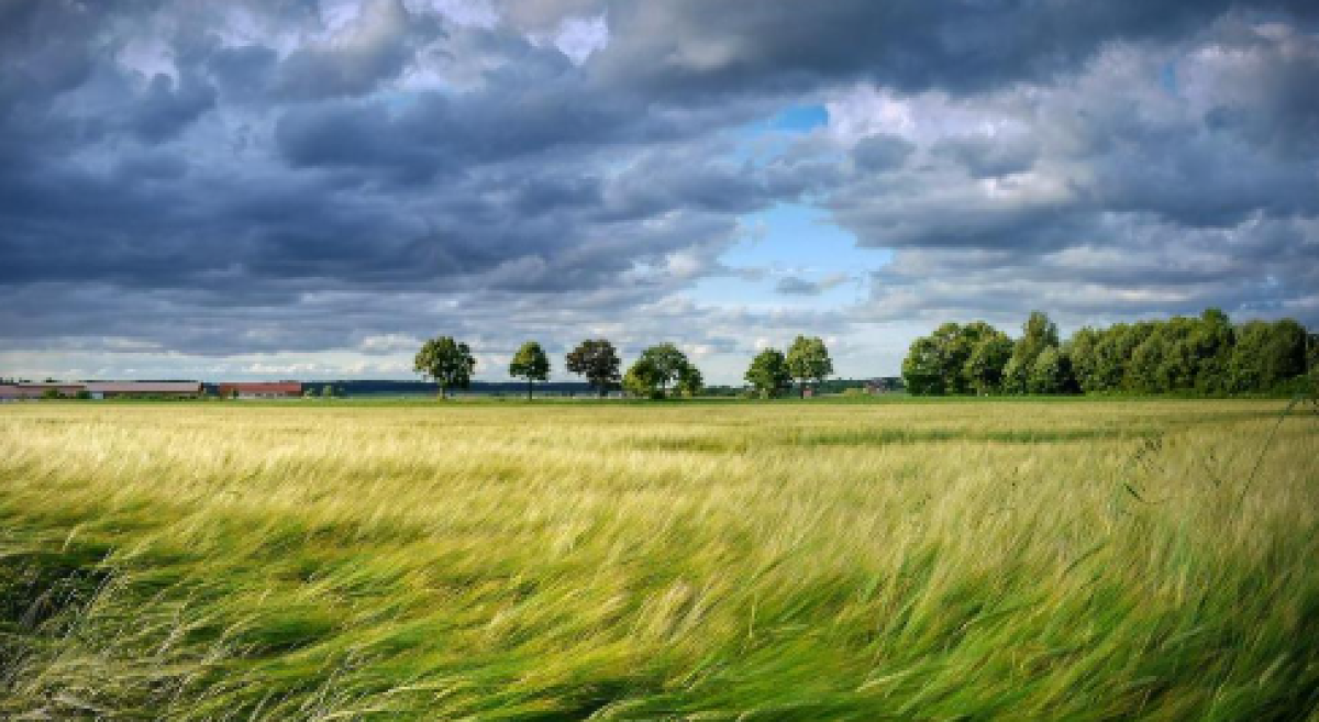 Сильный ветер, туман и грозы накроют регионы Казахстана