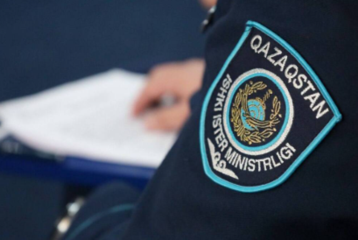 В Казахстане полиция оценила убийство котёнка в 43 тысячи тенге