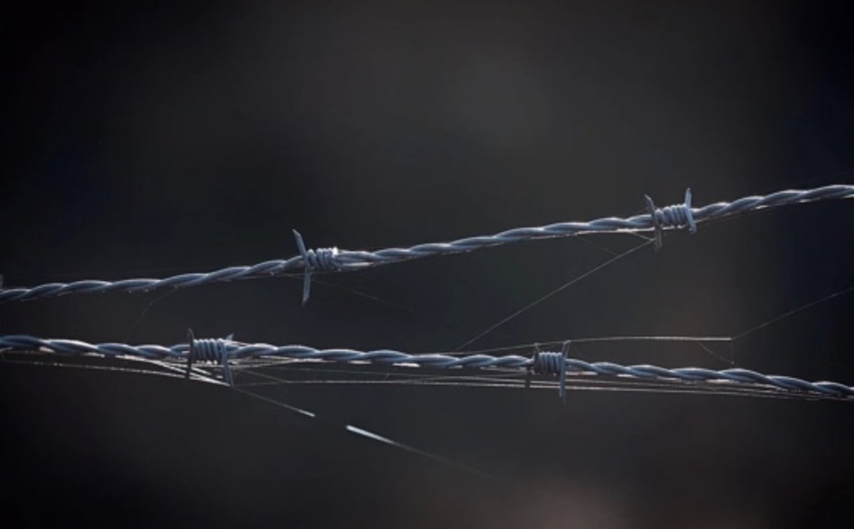 Клопы и теснота: арестованные пожаловались на спецприемник в Актобе