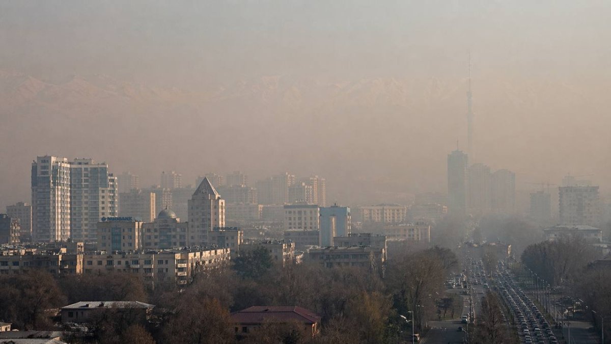 Странам Центральной Азии предложили объединиться против смога