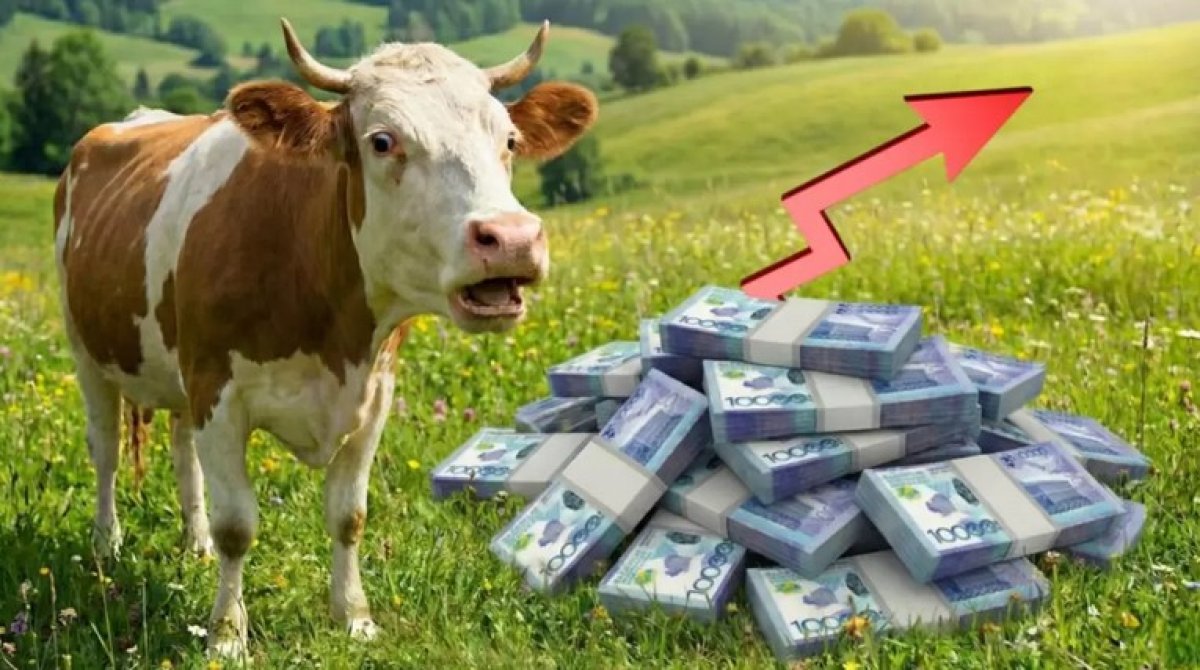 Сотни миллионов на несуществующих коров получил аграрий в Абайской области