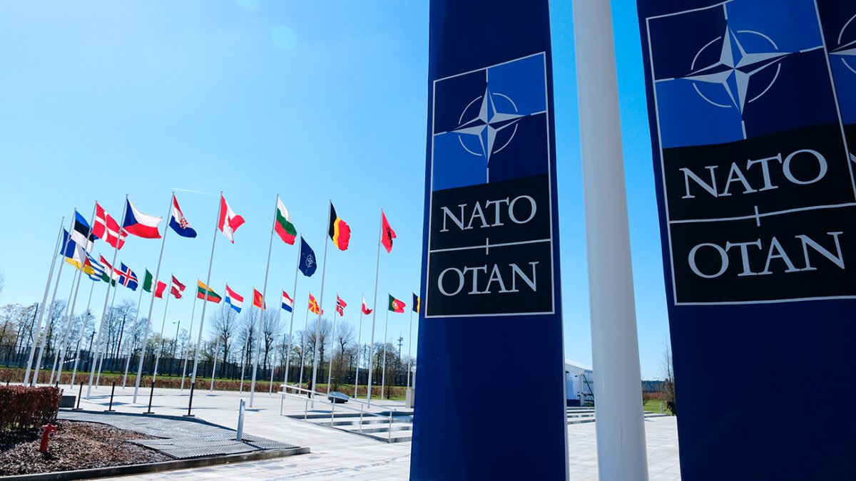 Членства в НАТО может лишиться европейская страна