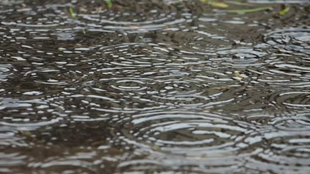 Погода в начале мая будет меняться по всему Казахстану