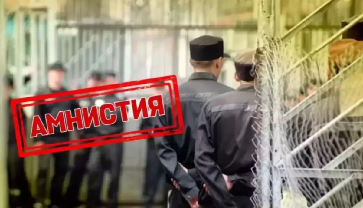 Амнистия: простит ли государство молодых закладчиков