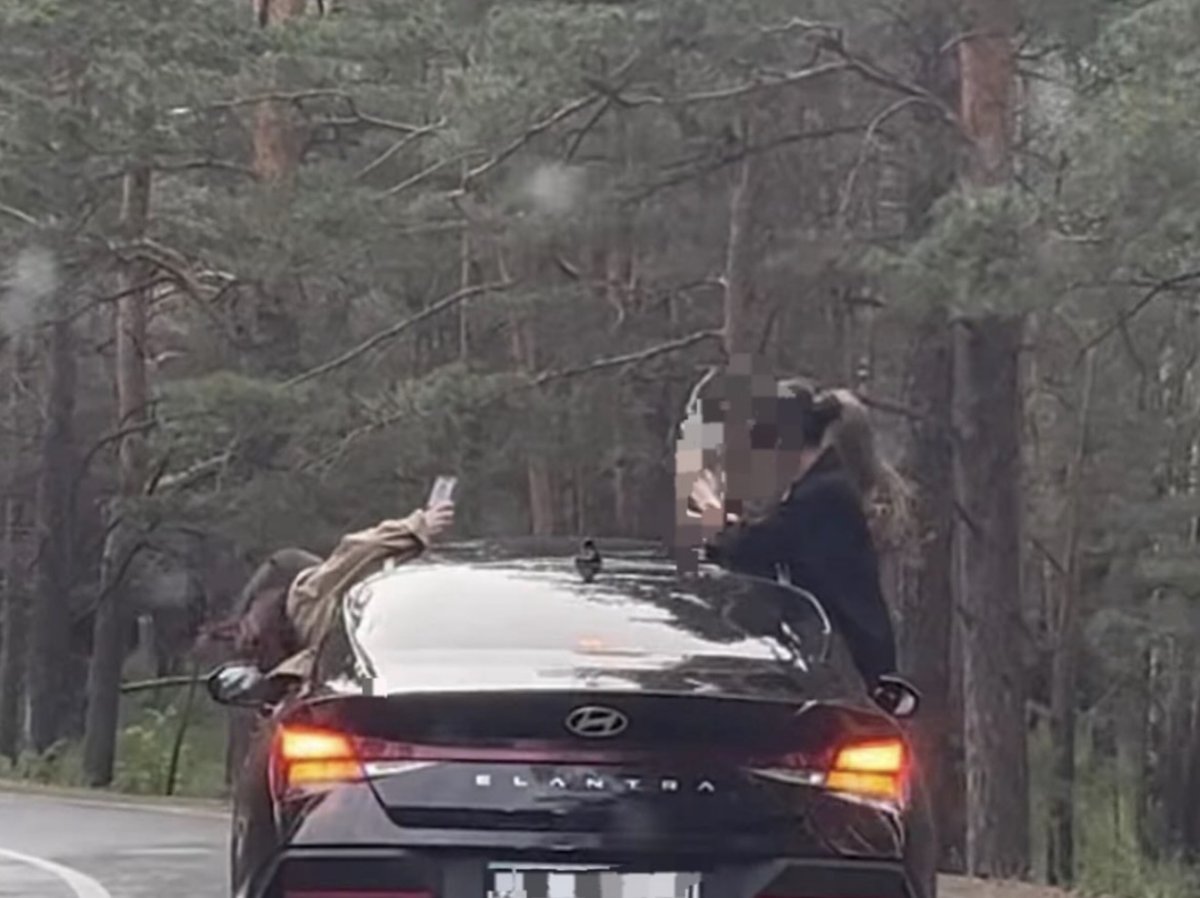 Астанчанки высунулись из окон авто ради видео: водителя наказали