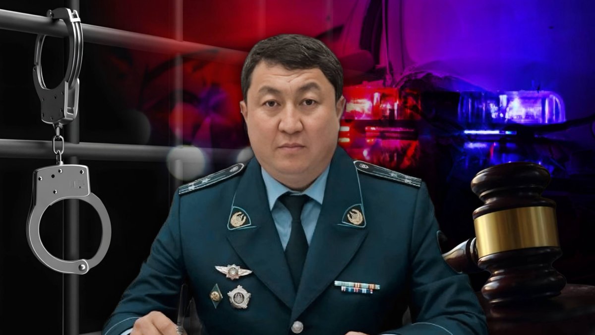 Сын депутата сдал полицию: как дорожный инцидент обернулся тюрьмой для руководства ДП
