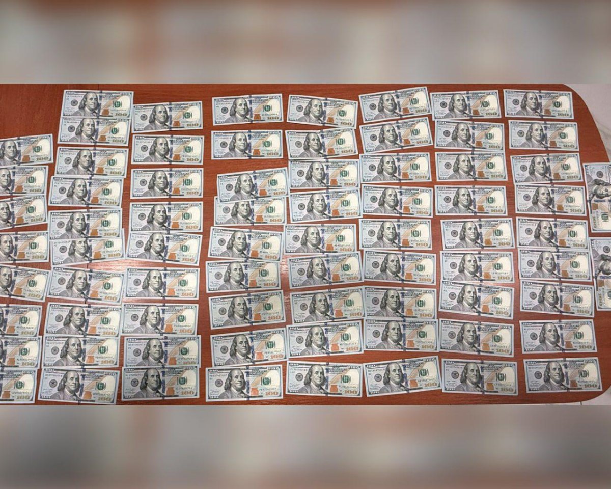 КНБ показал кадры задержания иностранца с 350 тысячами долларов на границе