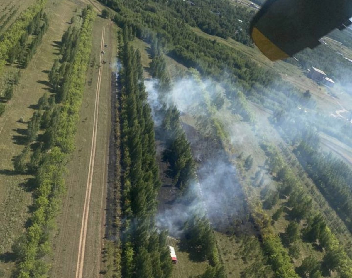 Более 40 лесных пожаров произошло в Казахстане за неделю