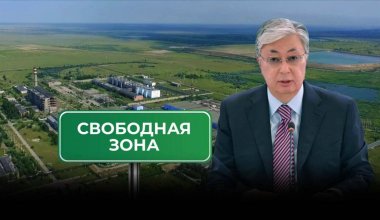 Неэффективная свобода: почему президент сомневается в целесообразности СЭЗ