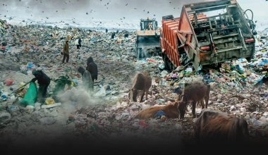 Отходы в доходы: почему в Казахстане переработка мусора превратилась в тему для обсуждения
